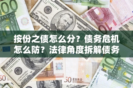 武汉按份之债怎么分？债务危机怎么防？法律角度拆解债务分配与风险自保指南
