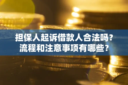 武汉担保人起诉借款人合法吗？流程和注意事项有哪些？