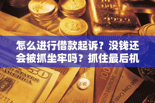 武汉怎么进行借款起诉？没钱还会被抓坐牢吗？抓住最后机会！