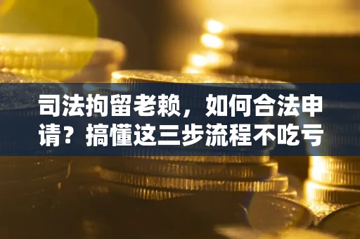 武汉司法拘留老赖，如何合法申请？搞懂这三步流程不吃亏！