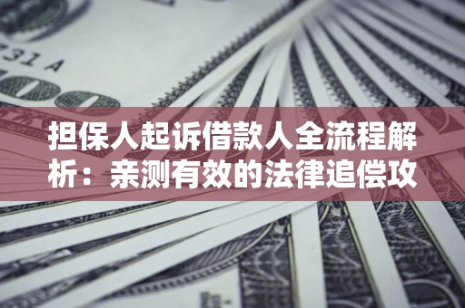 武汉担保人起诉借款人全流程解析：亲测有效的法律追偿攻略