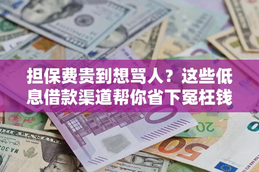 武汉担保费贵到想骂人？这些低息借款渠道帮你省下冤枉钱