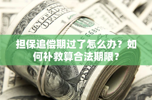 武汉担保追偿期过了怎么办？如何补救算合法期限？