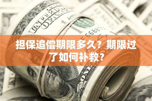 武汉担保追偿期限多久？期限过了如何补救？