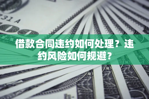 武汉借款合同违约如何处理？违约风险如何规避？