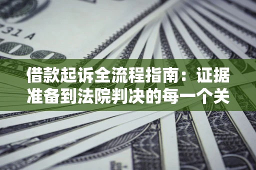 武汉借款起诉全流程指南：证据准备到法院判决的每一个关键步骤