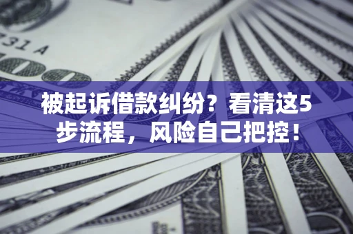武汉被起诉借款纠纷？看清这5步流程，风险自己把控！
