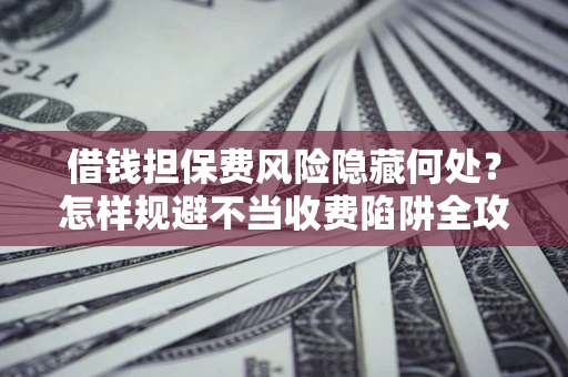 武汉借钱担保费风险隐藏何处？怎样规避不当收费陷阱全攻略！